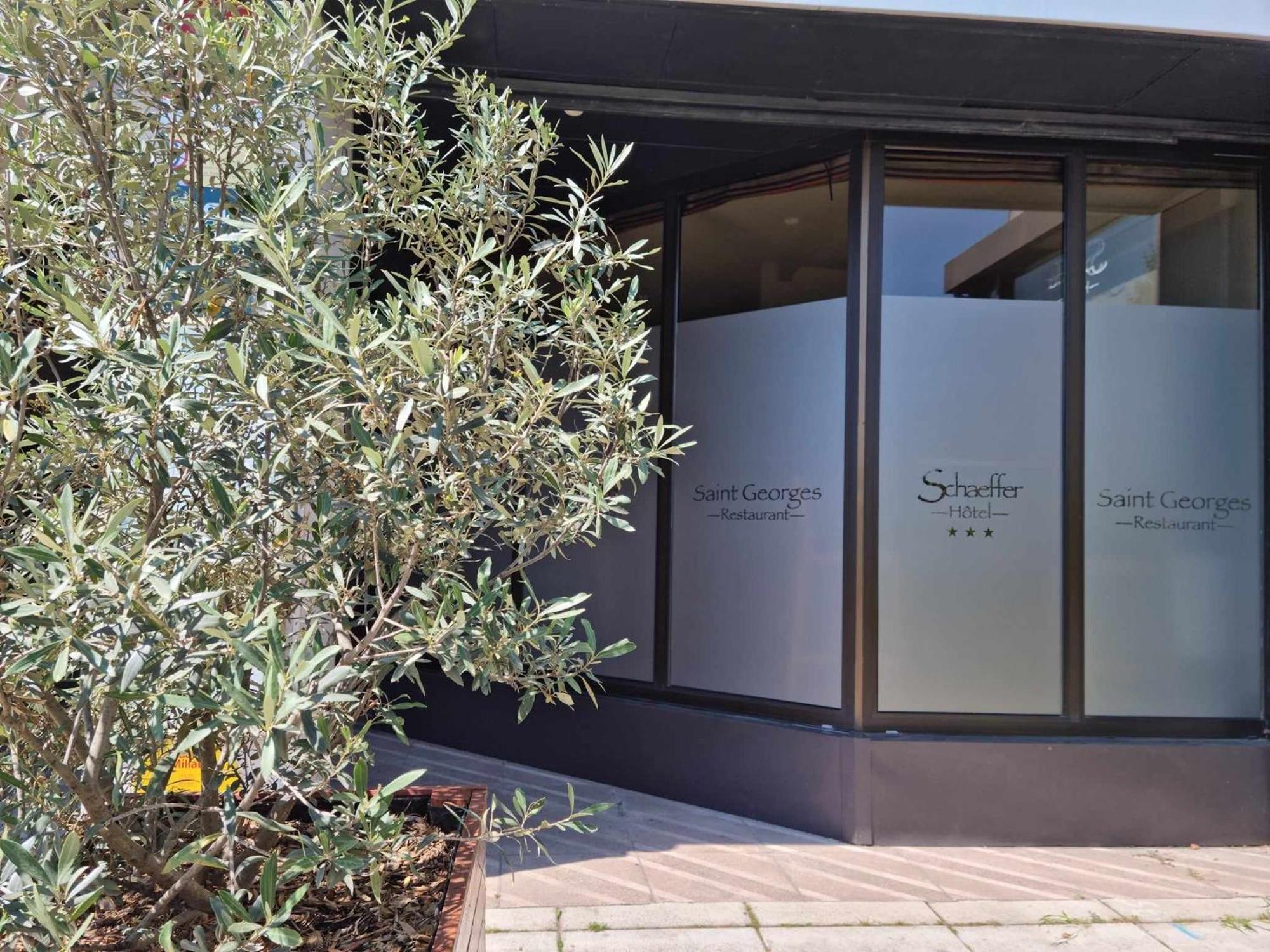 Logis Hotel Schaeffer- Restaurant Le Saint Georges Serrieres  Exterior photo